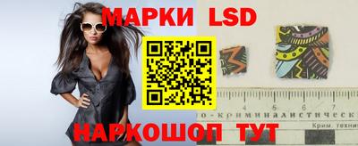 индика Тверь