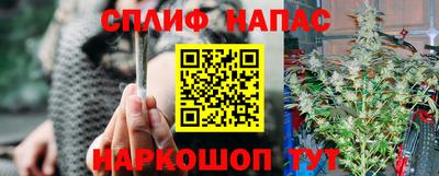 индика Тверь